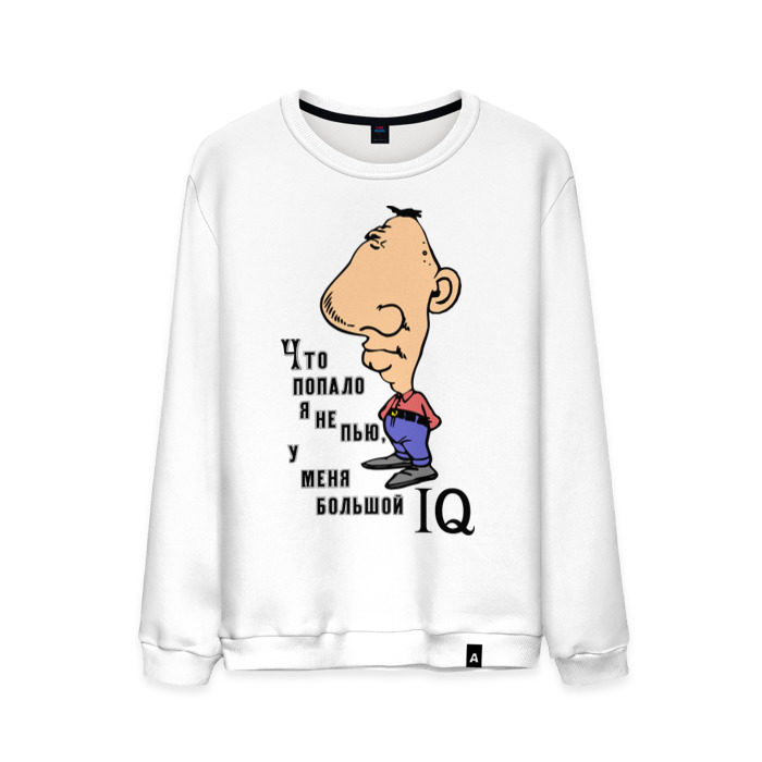 Мужской свитшот хлопок Большой IQ фото