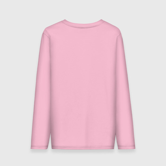 Мужской лонгслив хлопок Бизон - искатель истины фото