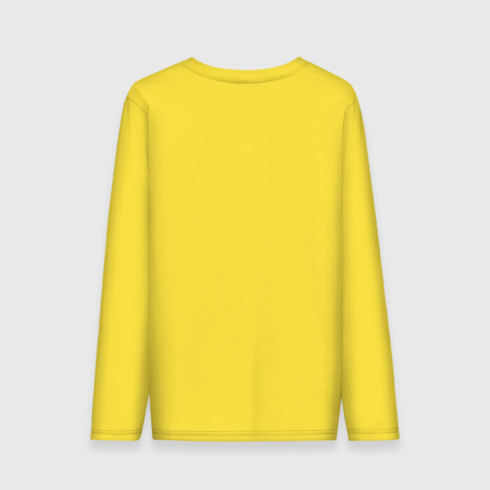 Мужской лонгслив хлопок Бизон - искатель истины фото