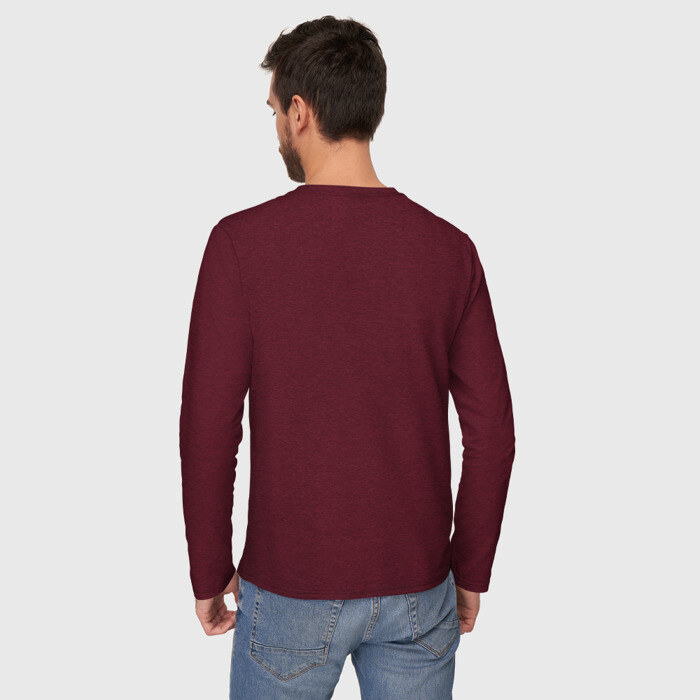 Мужской лонгслив хлопок Бизон - искатель истины фото