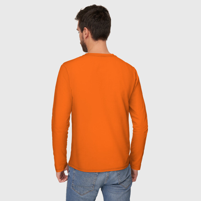 Мужской лонгслив хлопок Бизон - искатель истины фото