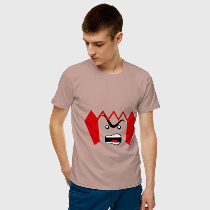 Мужская футболка хлопок Лорд Бизнес фото