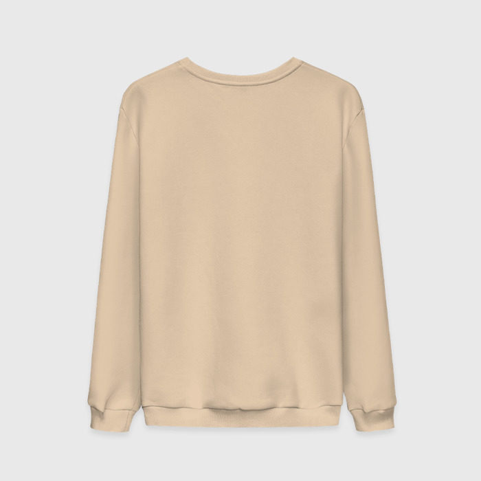 Мужской свитшот хлопок Луковица с газовым баллончиком фото