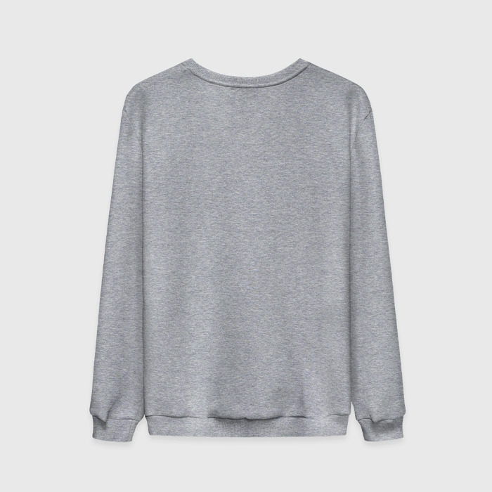 Мужской свитшот хлопок Луковица с газовым баллончиком фото