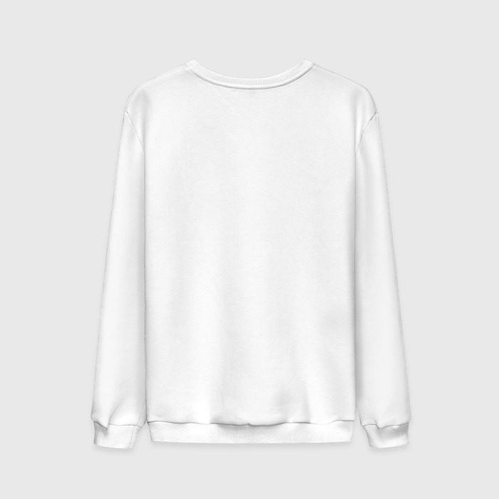 Мужской свитшот хлопок Луковица с газовым баллончиком фото