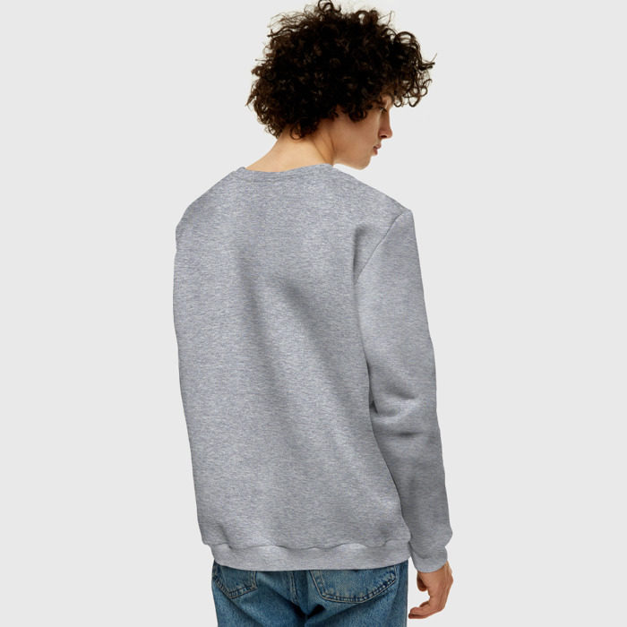 Мужской свитшот хлопок Луковица с газовым баллончиком фото