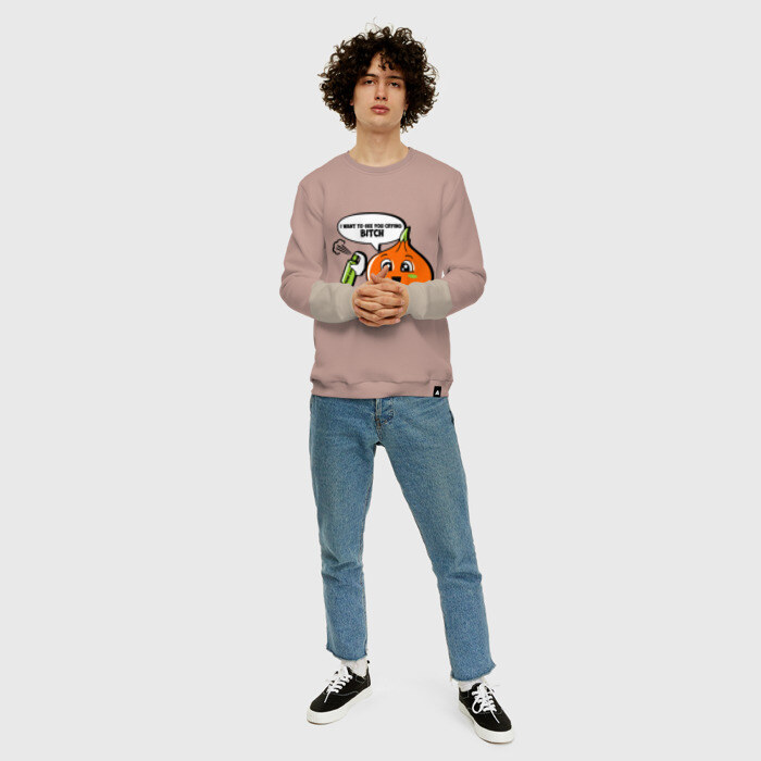 Мужской свитшот хлопок Луковица с газовым баллончиком фото