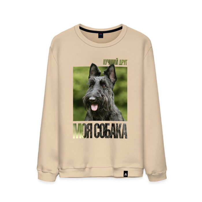 Мужской свитшот хлопок Скотч-терьер фото