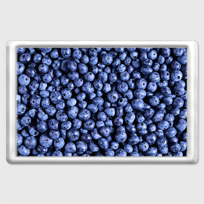 Магнит 45*70 Черника фото