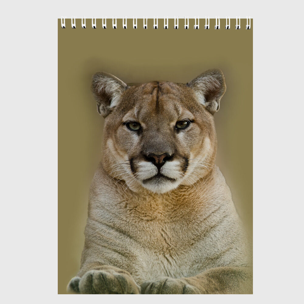 Скетчбук Пума фото