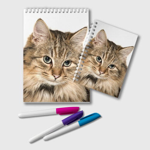 Блокнот Кот фото
