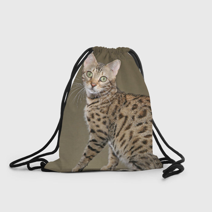 Рюкзак-мешок 3D Кот фото