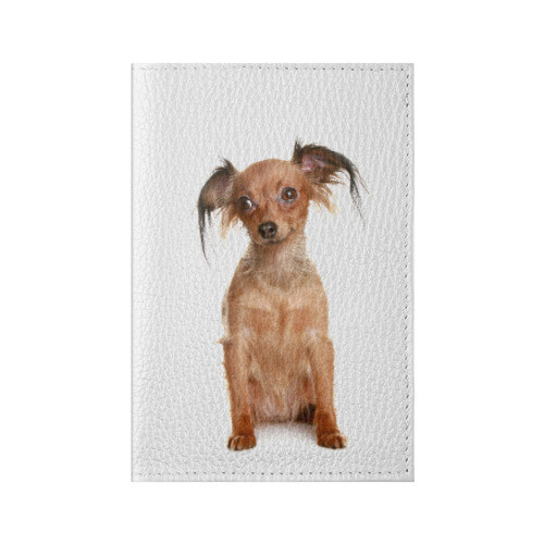 Обложка для паспорта матовая кожа Той-терьер фото
