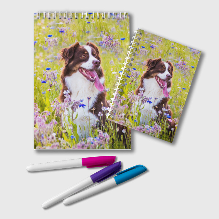 Блокнот Австралийская овчарка фото