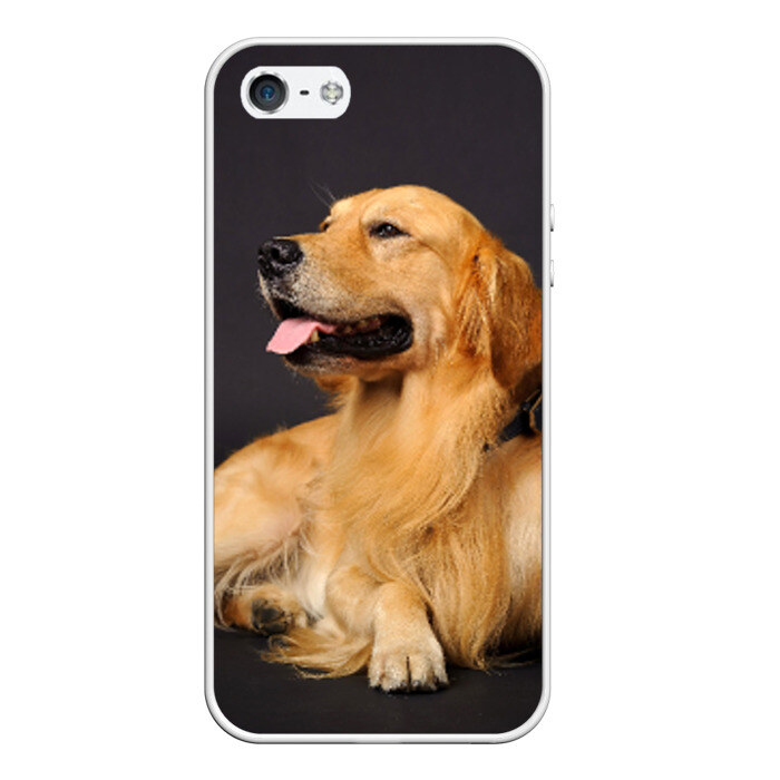 Чехол для iPhone 5/5S матовый Золотистый ретривер фото