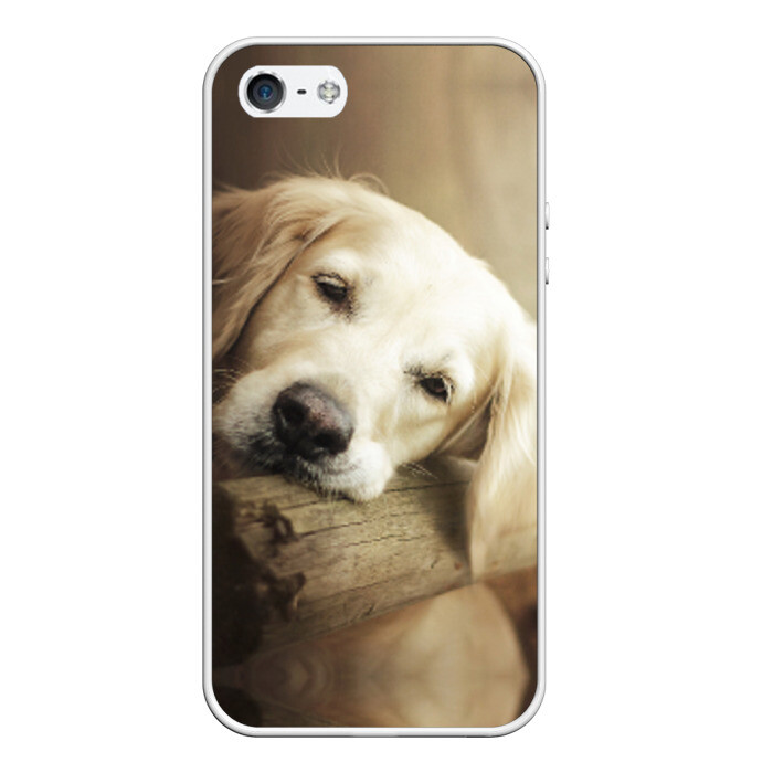 Чехол для iPhone 5/5S матовый Золотистый ретривер фото
