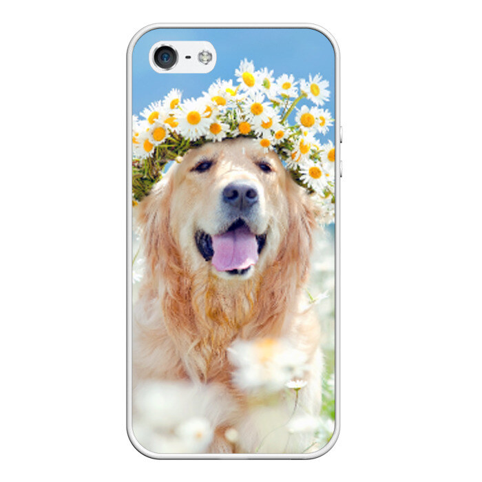 Чехол для iPhone 5/5S матовый Золотистый ретривер фото
