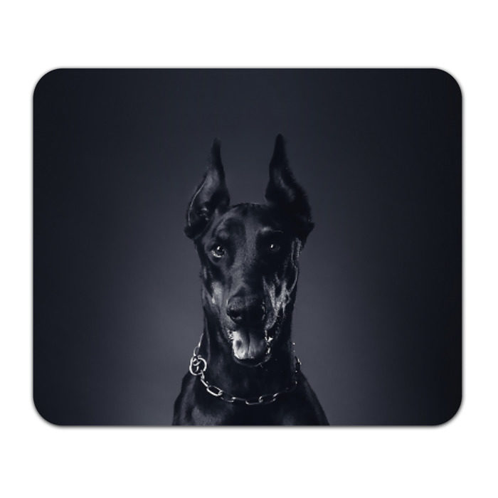 Коврик прямоугольный Доберман фото