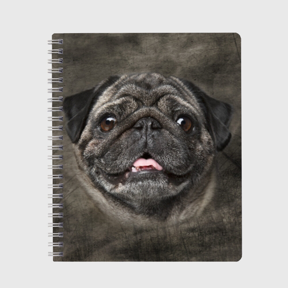 Тетрадь Мопс фото