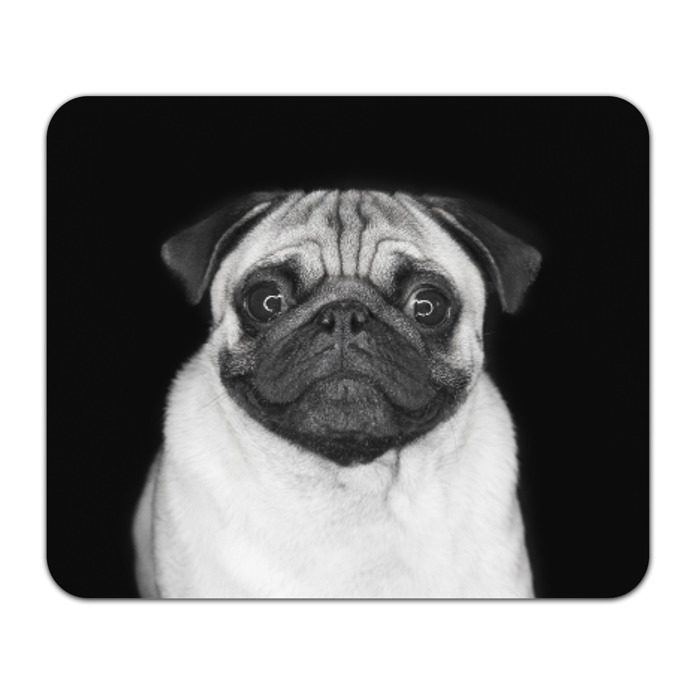 Коврик прямоугольный Мопс фото