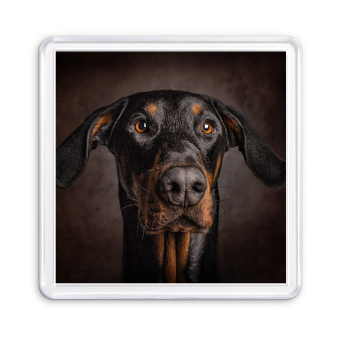 Магнит 55*55 Доберман фото