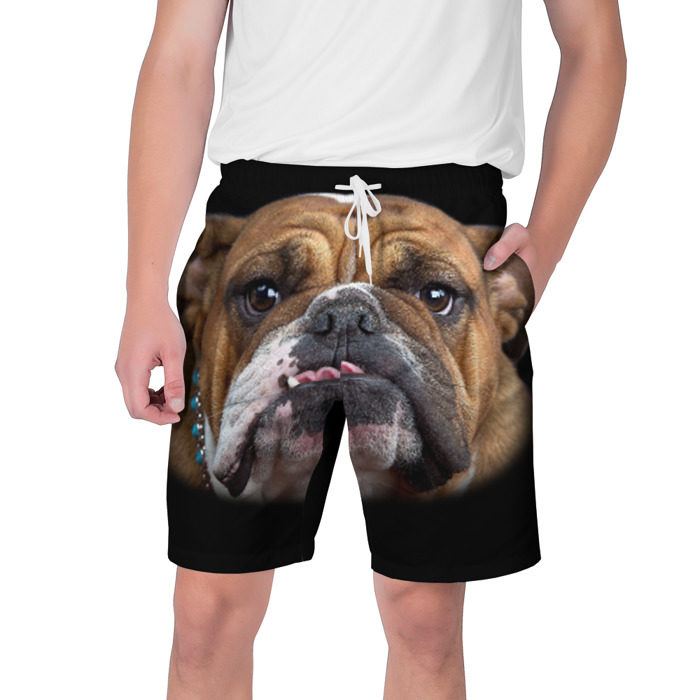 Мужские шорты 3D Французский бульдог фото