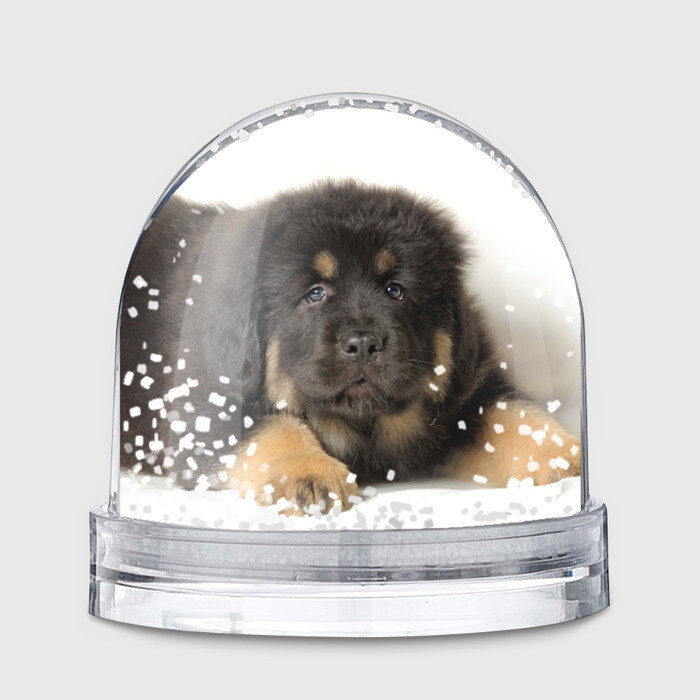 Водяной шар Тибетский мастиф фото