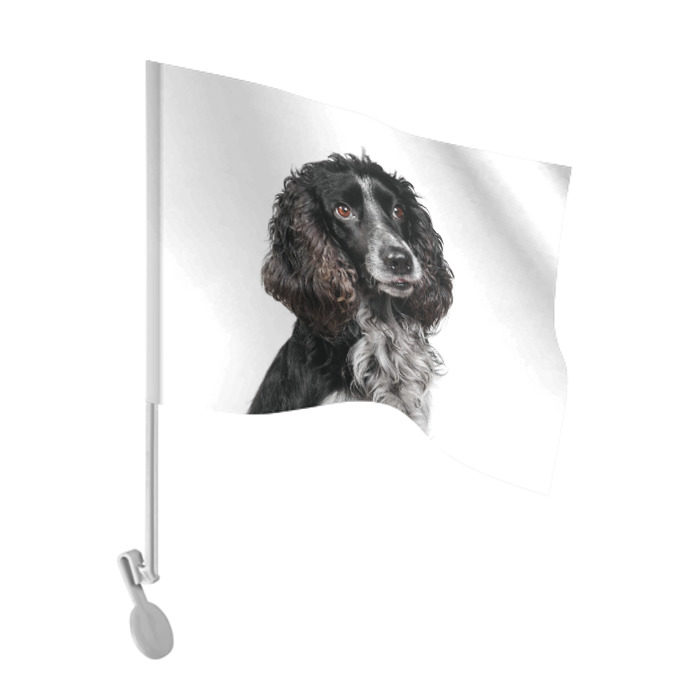 Флаг для автомобиля Русский охотничий спаниель фото