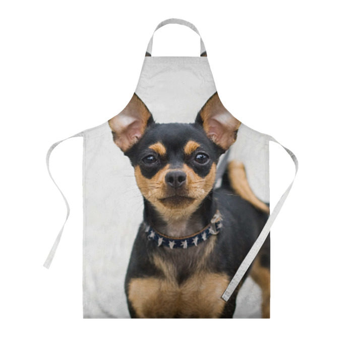Фартук 3D Чихуахуа фото