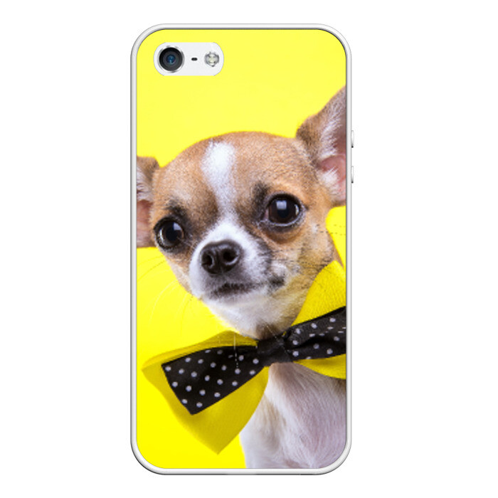 Чехол для iPhone 5/5S матовый Чихуахуа фото