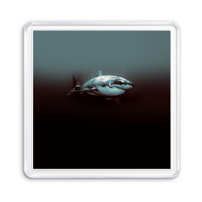 Магнит 55*55 Акула фото