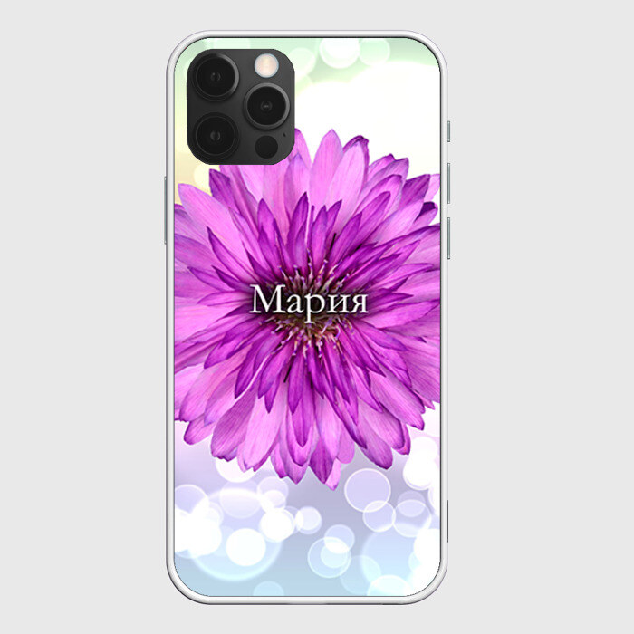 Чехол для iPhone 12 Pro Max Мария фото