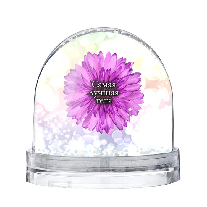 Снежный шар Самая лучшая тетя фото