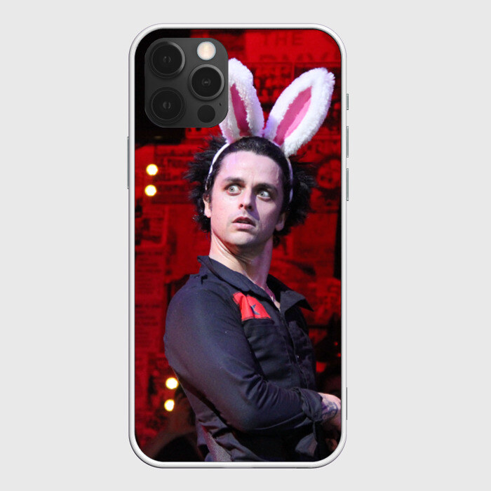 Чехол для iPhone 12 Pro Max Грин Дей фото