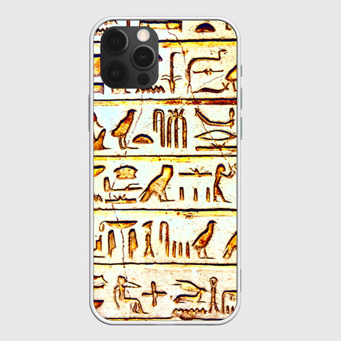 Чехол для iPhone 12 Pro Max Иероглифы фото