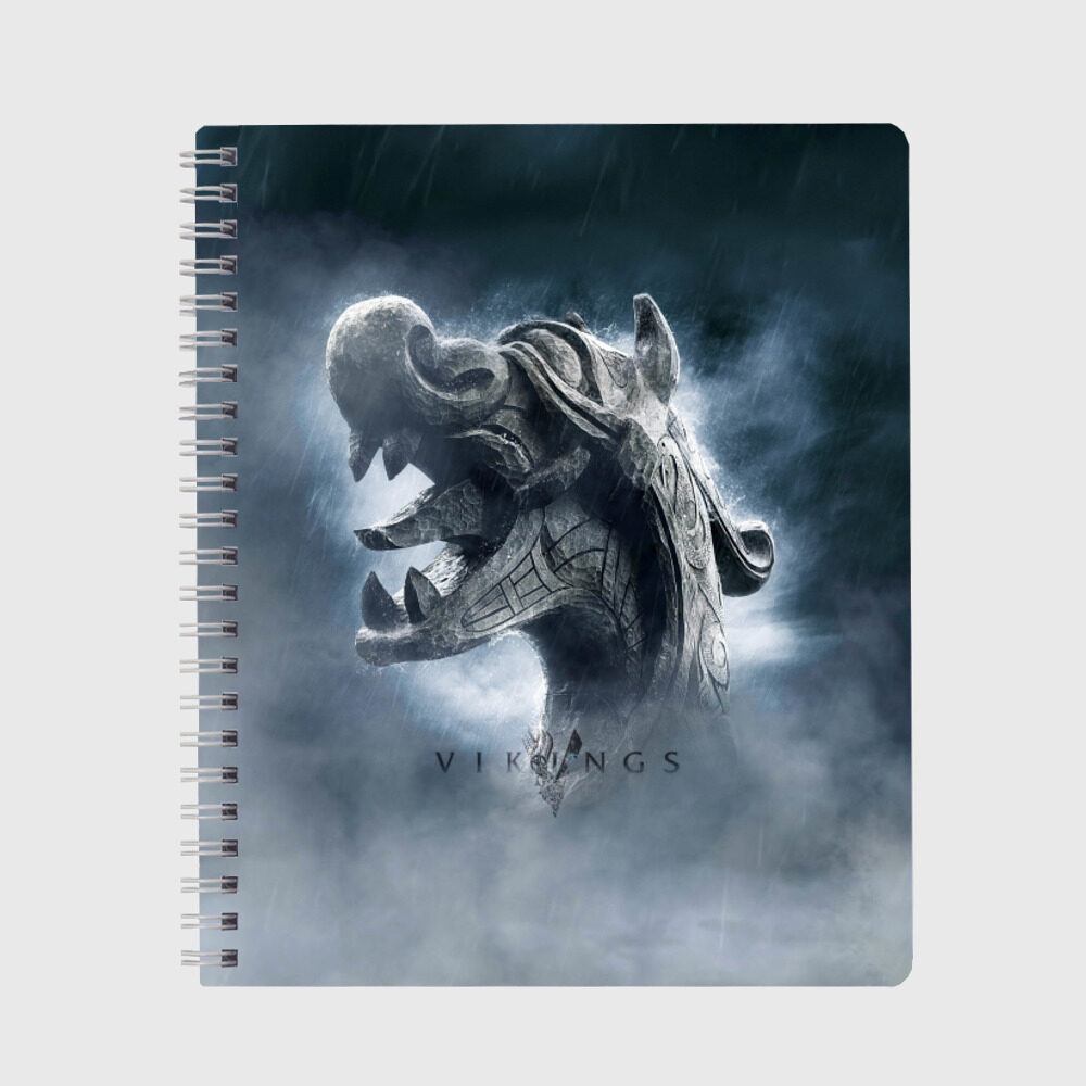 Тетрадь Викинги фото