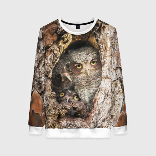Женский свитшот 3D Совы фото