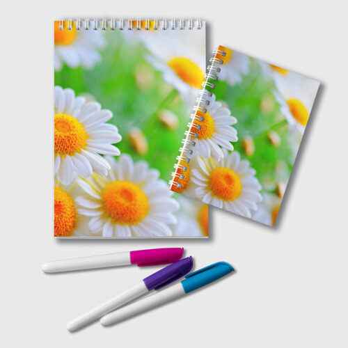 Блокнот Ромашки фото