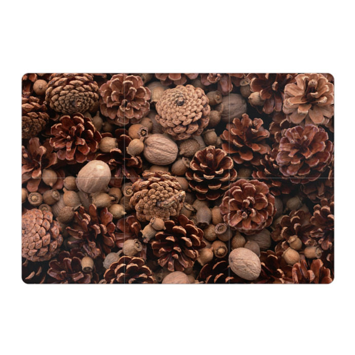 Магнитный плакат 3Х2 Шишки и орешки фото