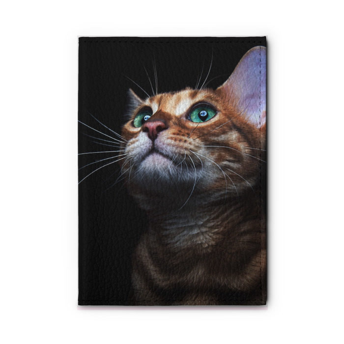 Обложка для автодокументов Милый котик фото