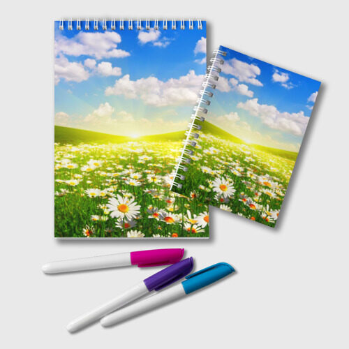 Блокнот Ромашки фото