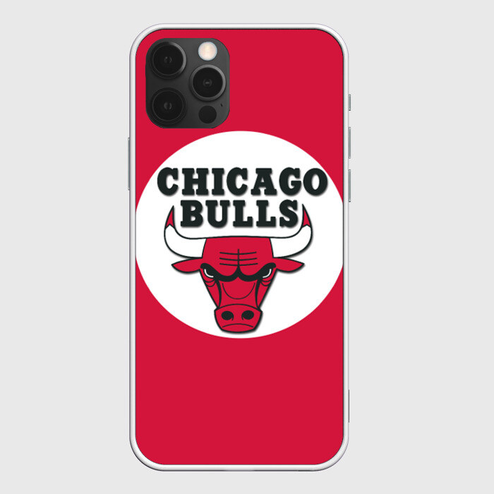 Чехол для iPhone 12 Pro Max BULLS фото