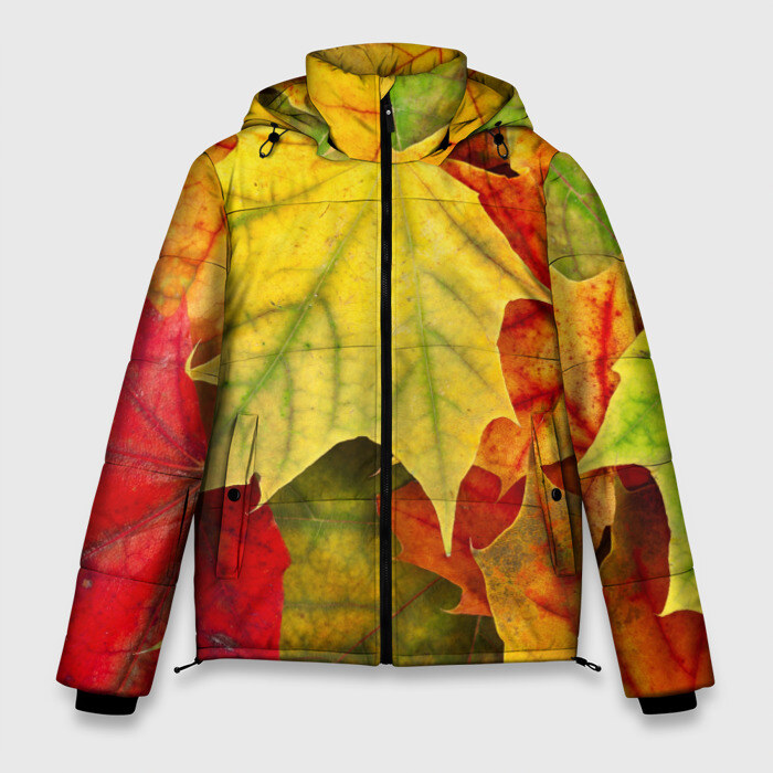 Мужская зимняя куртка 3D Кленовые листья фото