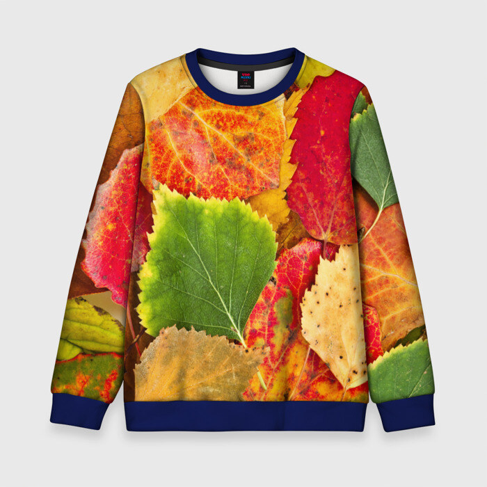 Детский свитшот 3D Осень фото