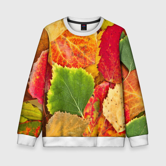 Детский свитшот 3D Осень фото