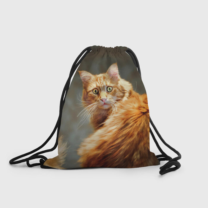 Рюкзак-мешок 3D Рыжий фото