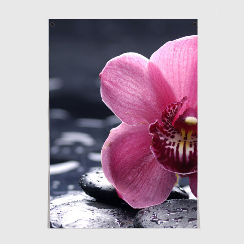 Постер Цветы фото