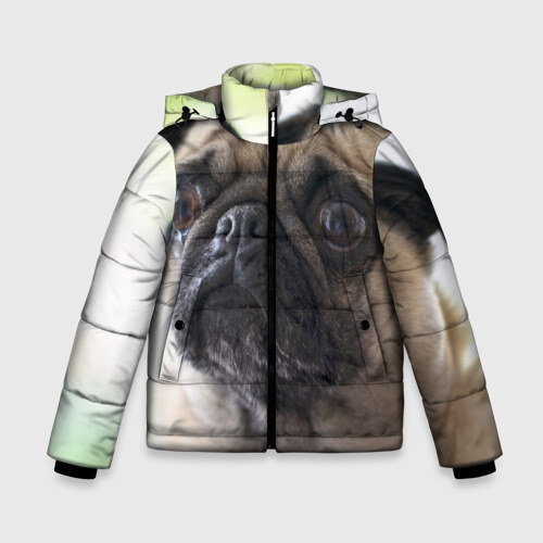 Зимняя куртка для мальчиков 3D Мопс фото