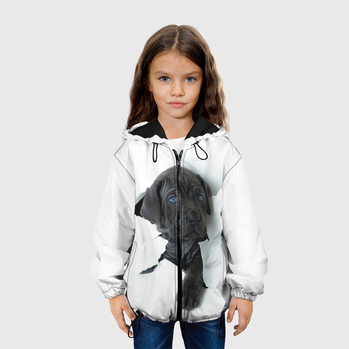 Детская куртка 3D щенок Кане Корсо фото