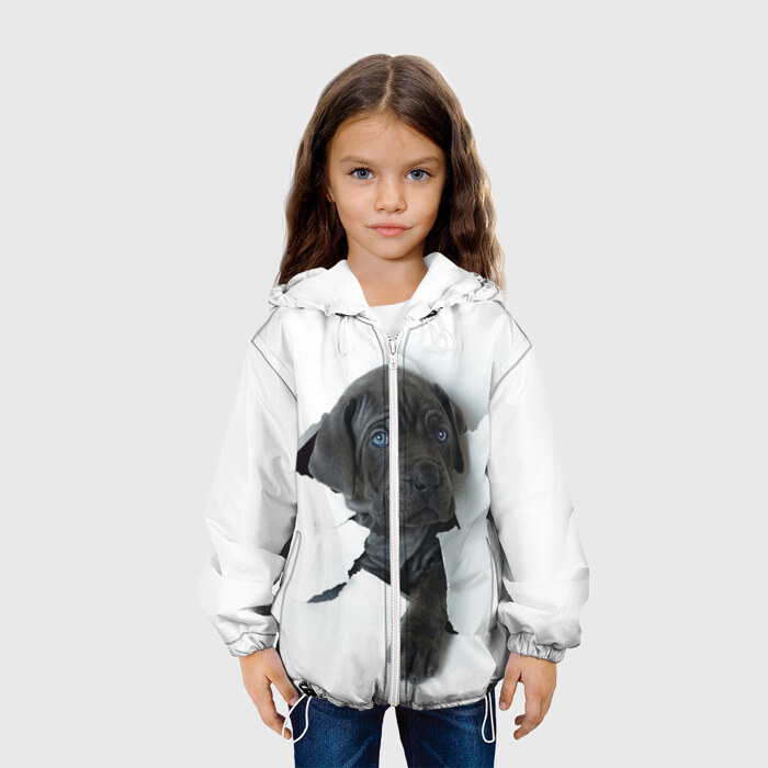Детская куртка 3D щенок Кане Корсо фото